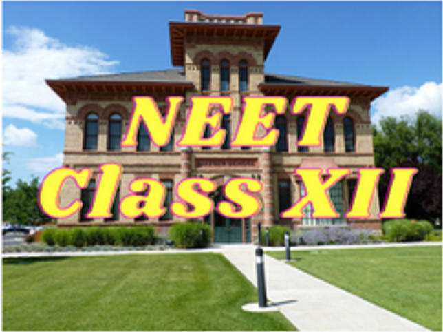 NEET (Biology, Physics, Chemistry) - Class XII